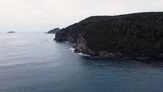 Tasmania's most Beautiful Beach | Fortescue Bay, Tasmania 2021