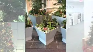 Foliage Design Systems Tri State