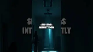 The Shadowed Corridor
