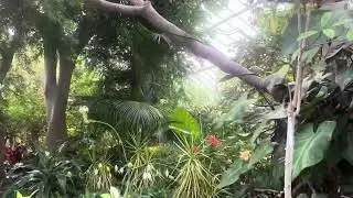 Centennial Park Conservatory (Green House)