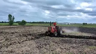 Orange Spectacular Field Prep 2024
