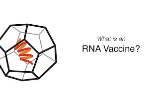 What is an RNA Vaccine?