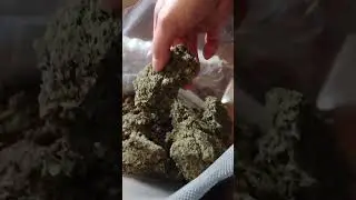 Last Call for Legal THCA Pounds &mdash; Prices Down, Time Running Out