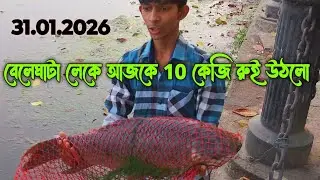 Big Rohu fish caught in Beleghata lake.