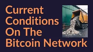 Текущее состояние сети Bitcoin