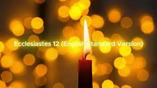Ecclesiastes 12: Daily Scripture - Let's listen to the Bible together!