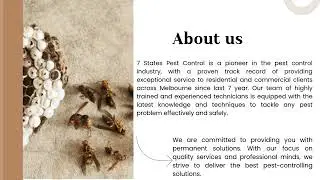 Wasp Nest Removal Melbourne