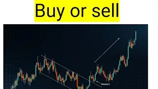 Sentage Holdings, sntg stock analysis buy or sell it