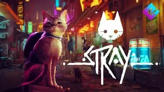 Stray : let's play FR (découverte en live, version PS4 Pro)
