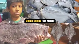 Explore Karachi Oldest Moosa Colony Fish Market  Sasti Machli Market Price Update 2024