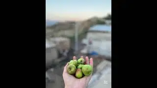 Şiyan