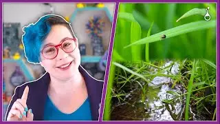 Natural Empathy | MakerFun TV Episode 10