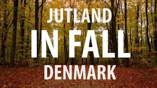 Jutland in Fall - The Danish Road Trip