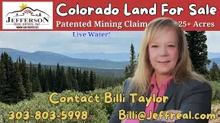 00 ALVIN, SILVER CAVE, LITTLE IDA, Fairplay, CO | Park County Real Estate Listing