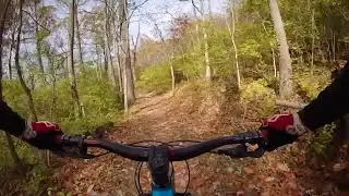 Devou   leaf surfing, skinny crash, Rock Garden and the BEST Pizza in town