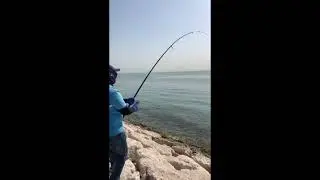 Batak # 5- Queen fish catching