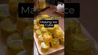 How to Make Fruit Tea Ice Cubes That Taste Amazing!