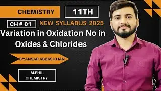Oxidation Numbers in Oxides & Chlorides | Class 11 Chemistry Chapter 1 | #NewBook2025