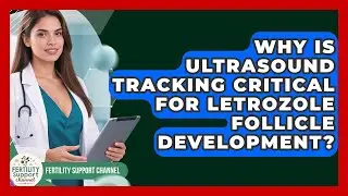 Why Is Ultrasound Tracking Critical For Letrozole Follicle Development? - Fertility Support Channel