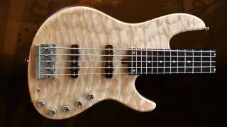 Jazz Custom 5 Cordas | Rogério dy Castro | Aero and Aguilar OBP3 | Eliezer Lara Guitars