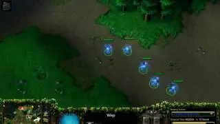 Warcraft 3, DK wisp surround