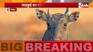 MP News: मध्य प्रदेश की आज की बड़ी खबरें | MP Latest News | 05 January 2026