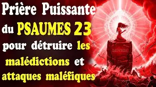 PRI&Egrave;RE PUISSANTE DU PSAUME 23 CONTRE LES MAL&Eacute;DICTIONS ET LES ATTAQUES MAL&Eacute;FIQUES