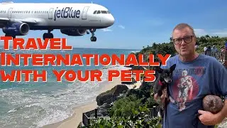 How to Travel Internationally with your Dogs to Mexico by Air #howto #dog #travel #international