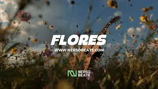 Flamenco Rumba Instrumental | Flamenco Guitar Type Beat | Flores