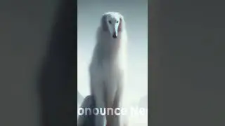 Новый мем из 2031 года