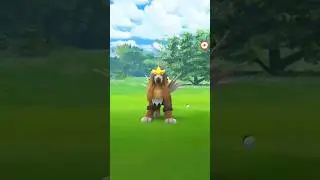 crazy! i caught SHINY ENTEI without Raid #pokemongo  