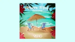 Vaho - Joel Barish [Haere Mai: Bienvenido]