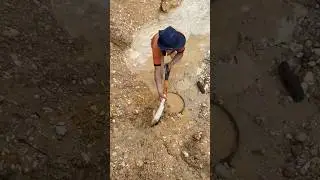 A unique way to find gold in the location of a gold mine..