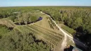 Drone-4-us.com The Butler Tree Farm ad by Michael Basedow
