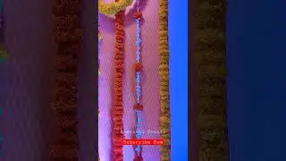 puberty half saree ceremony Backdrop decoration #bestivalevents #halfsaree #pubertyfunction