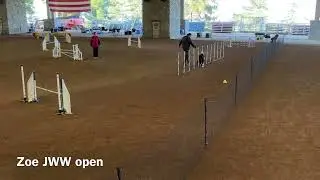 Dog Agility Club of Ventura AKC Trial Jan 24 Mutya & Zoe Industry, CA