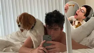 Milo Manheim and his dog Louie 🐶*Tiktok compilation* 🐶