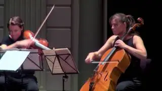 Vertavo String Quartet