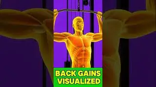 #latpulldown #backday #aiworkout #gymmotivation