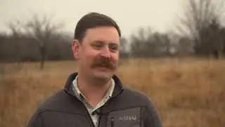 Can You Help with Decreasing Turkey Populations?