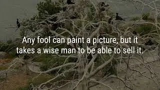 Rewire Your Mind: Motivational Quotes That Will Shift Your Reality