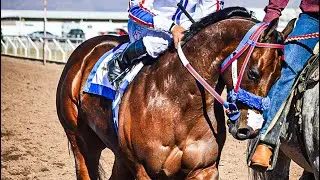 El De La Carreta C. LA ESPERANZA Vs El Chocolate C. La Estrella | Satevo Race Track Chihuahua Méx.