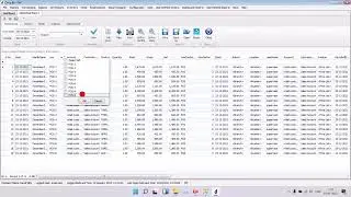 Data Filtering Feature in Cyrus Biz ERP Software