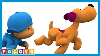 👦 A Dog’s Life 👦 [Ep39] FUNNY VIDEOS and CARTOONS for KIDS of POCOYO in ENGLISH