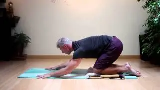 Yoga Therapy for Back Pain - Chakravakasana