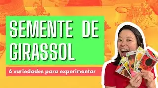 6 variedades de semente de GIRASSOL para comer -  microverdes de girassol