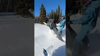 Meadow bashing on the ported 146 9R! ​⁠@cyclesnsleds  #polaris #146 #snowmobile #9r #modsled