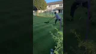Sand Leveling Cool Season Lawns