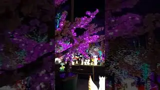 #fairy light garden #short #shorts #light #canada