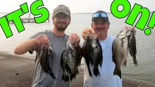 Crappie Fishing Gibbons Creek